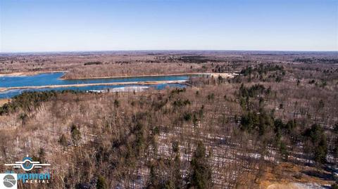 4612 S Wise Rd, Shepherd, MI 48883 photo 15