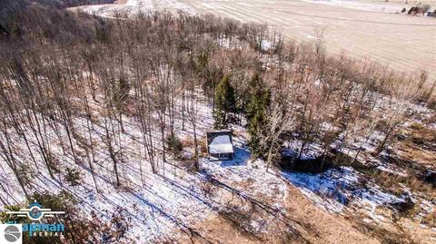 4612 S Wise Rd, Shepherd, MI 48883 photo 24
