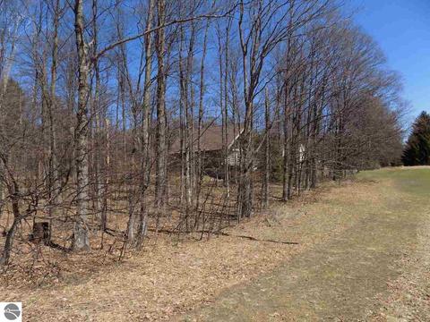 2340 E Sugar Maple Rd, Cedar, MI 49621 photo 9
