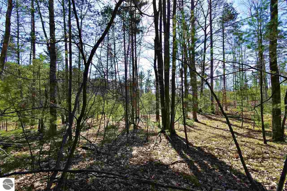  4445 Prouty Rd, Traverse City, MI 49686 photo 5