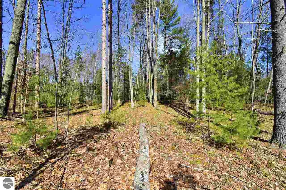  4445 Prouty Rd, Traverse City, MI 49686 photo 4