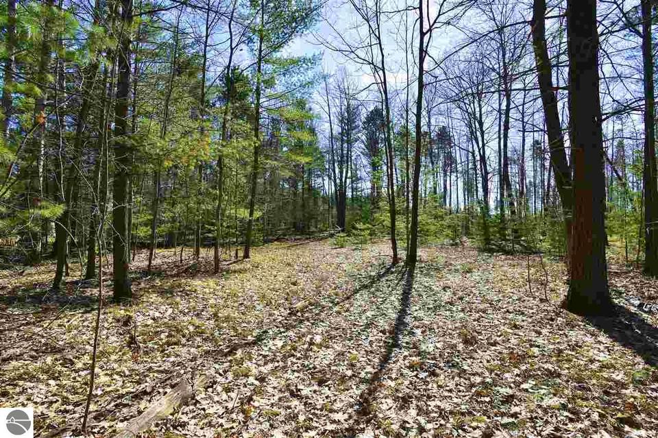  4445 Prouty Rd, Traverse City, MI 49686 photo 3