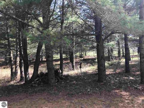 2961 E 14 Rd, Manton, MI 49663 photo 17