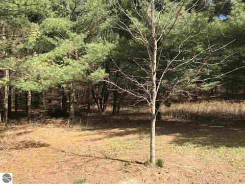 2961 E 14 Rd, Manton, MI 49663 photo 15