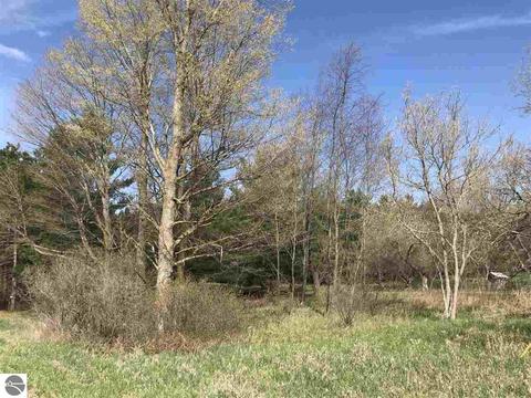 2961 E 14 Rd, Manton, MI 49663 photo 8