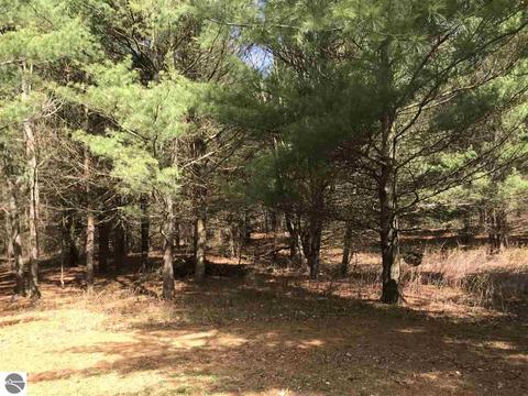 2961 E 14 Rd, Manton, MI 49663 photo 5
