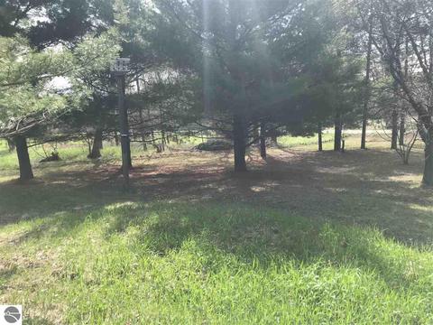 2961 E 14 Rd, Manton, MI 49663 photo 23