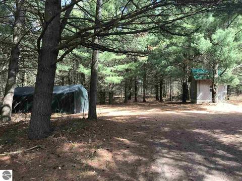 2961 E 14 Rd, Manton, MI 49663 photo 10