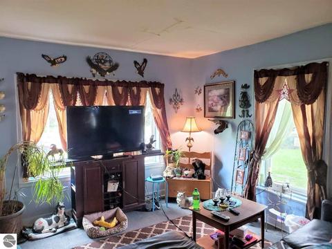 210 S St Johns St, Ithaca, MI 48847 photo 7