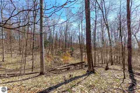 1794 E Old Mountain Rd, Cedar, MI 49621 photo 42