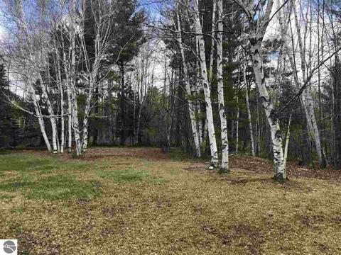3515 Bee Ln, Lupton, MI 48635 photo 15