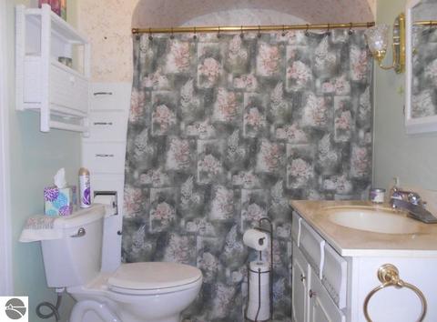110 E Wright Ave, Shepherd, MI 48883 photo 17