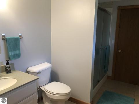 8319 Upton Dr, Shepherd, MI 48883 photo 23