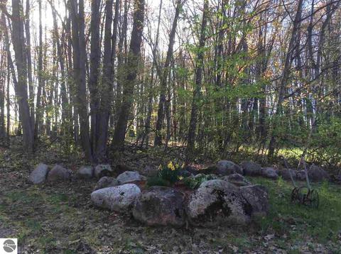 875 E Monroe Rd, Harrison, MI 48625 photo 60