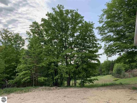 5494 E Hidden Beech Dr, Cedar, MI 49621 photo 9