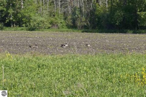 1408 S Tonkey Rd, Au Gres, MI 48703 photo 31