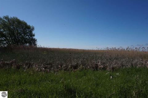 1408 S Tonkey Rd, Au Gres, MI 48703 photo 27