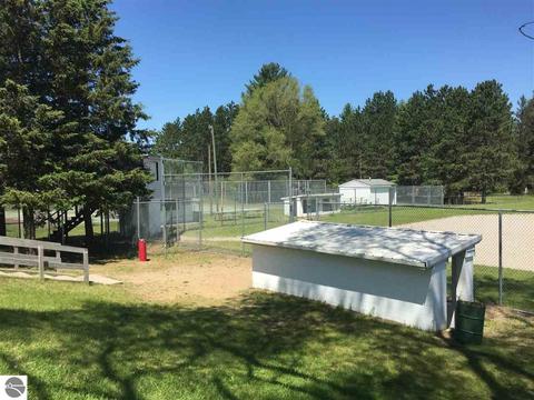 218 E Adelbert St, Mesick, MI 49668 photo 13