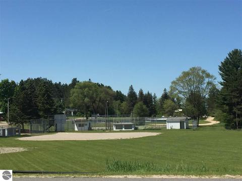 218 E Adelbert St, Mesick, MI 49668 photo 12