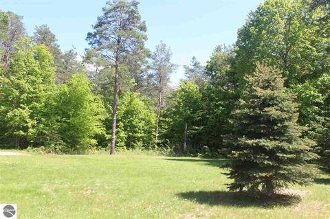 4790 Soderquist Rd, Mancelona, MI 49659 photo 23