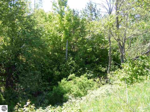 4123 S 23 Rd, Boon, MI 49618 photo 53