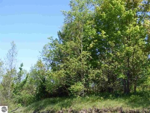 4123 S 23 Rd, Boon, MI 49618 photo 49