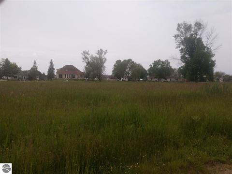 N/a Lola Lane, Au Gres, MI 48703 photo 3