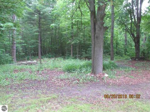3736 Darton Rd, Hale, MI 48739 photo 16