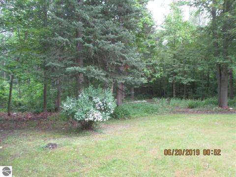 3736 Darton Rd, Hale, MI 48739 photo 18