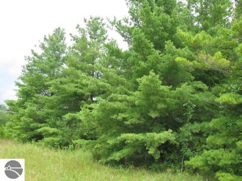 0 M-55 #LOT S 72,73,74&90,91, Tawas City, MI 48763