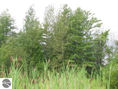 0 M-55 #67&68, Tawas City, MI 48763