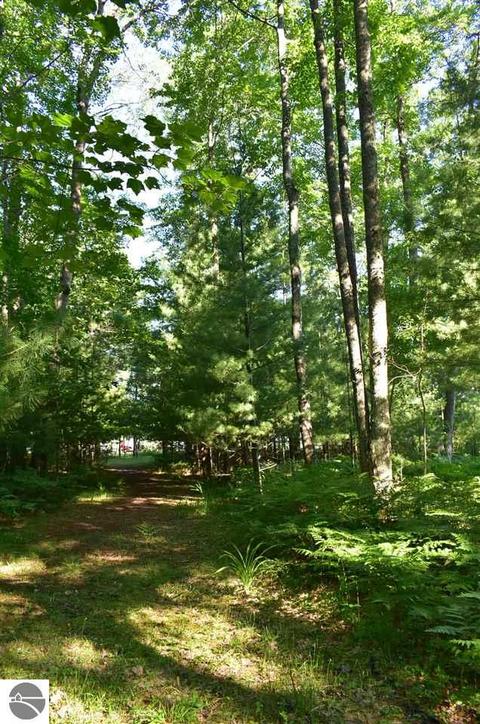 11575 Fredmar Dr, Interlochen, MI 49643 photo 44