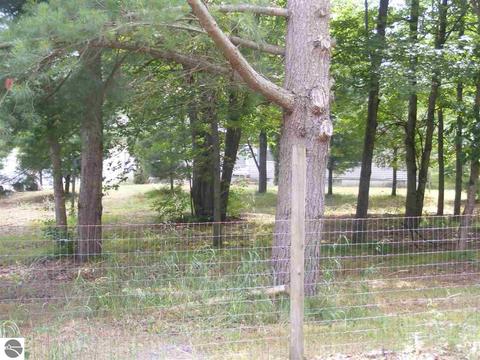 8151 Rolling Rd, Lake, MI 48632 photo 31