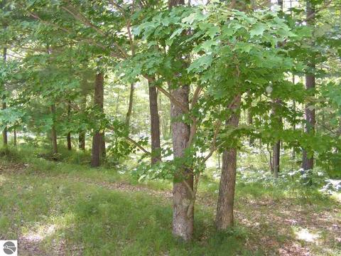 8151 Rolling Rd, Lake, MI 48632 photo 44