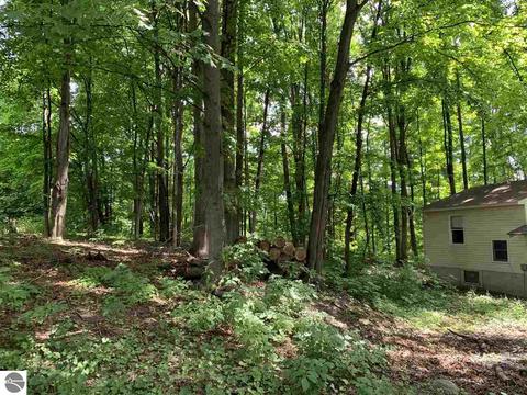8510 E Lincoln Rd, Cedar, MI 49621 photo 9