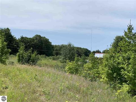 8510 E Lincoln Rd, Cedar, MI 49621 photo 13