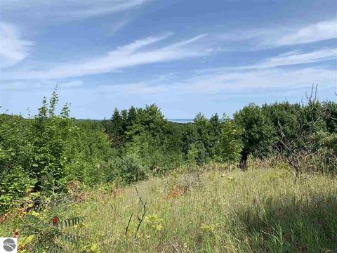8510 E Lincoln Rd, Cedar, MI 49621 photo 10