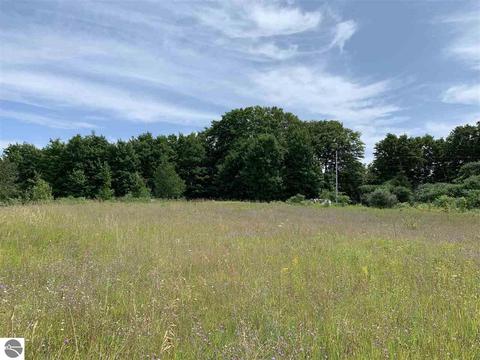 8510 E Lincoln Rd, Cedar, MI 49621 photo 3