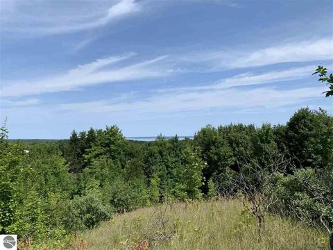 8510 E Lincoln Rd, Cedar, MI 49621 photo 11