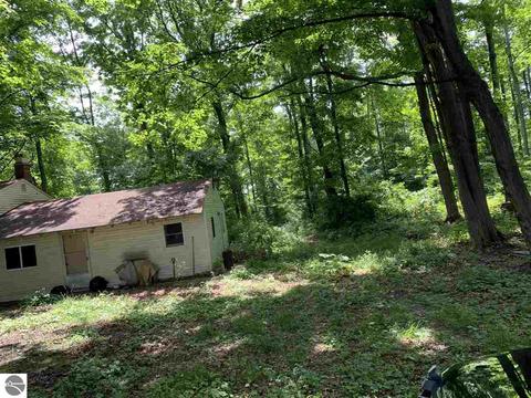 8510 E Lincoln Rd, Cedar, MI 49621 photo 8