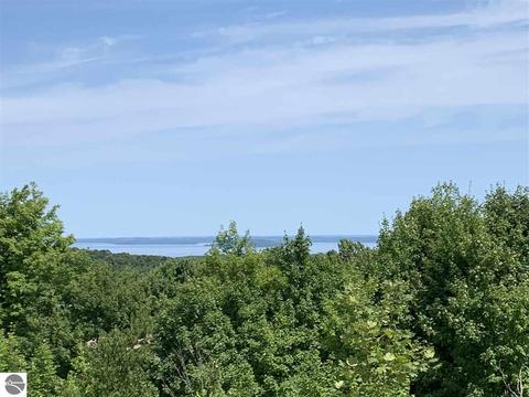 8510 E Lincoln Rd, Cedar, MI 49621 photo 1