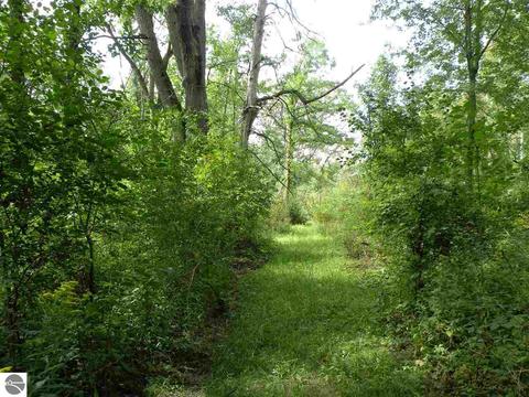 202 S Hockaday Rd, Gladwin, MI 48624 photo 22