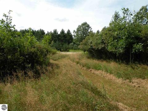 202 S Hockaday Rd, Gladwin, MI 48624 photo 25