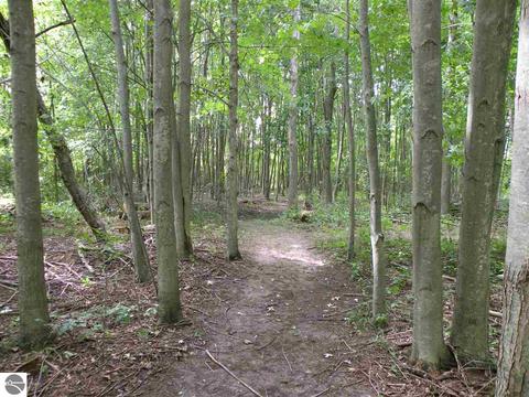 202 S Hockaday Rd, Gladwin, MI 48624 photo 30