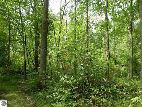 202 S Hockaday Rd, Gladwin, MI 48624 photo 20