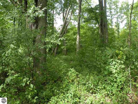 202 S Hockaday Rd, Gladwin, MI 48624 photo 24
