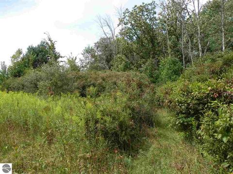 202 S Hockaday Rd, Gladwin, MI 48624 photo 28