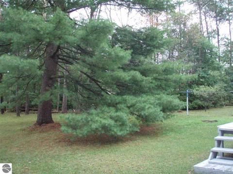 1933 Edwin Rd, Harrison, MI 48625 photo 22