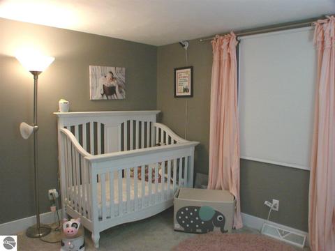 3740 W Washington Rd, Ithaca, MI 48847 photo 41