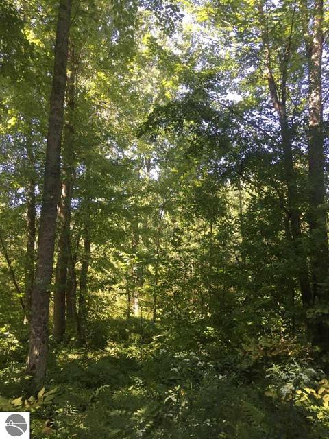 2141 Smith Rd, Gladwin, MI 48624 photo 8